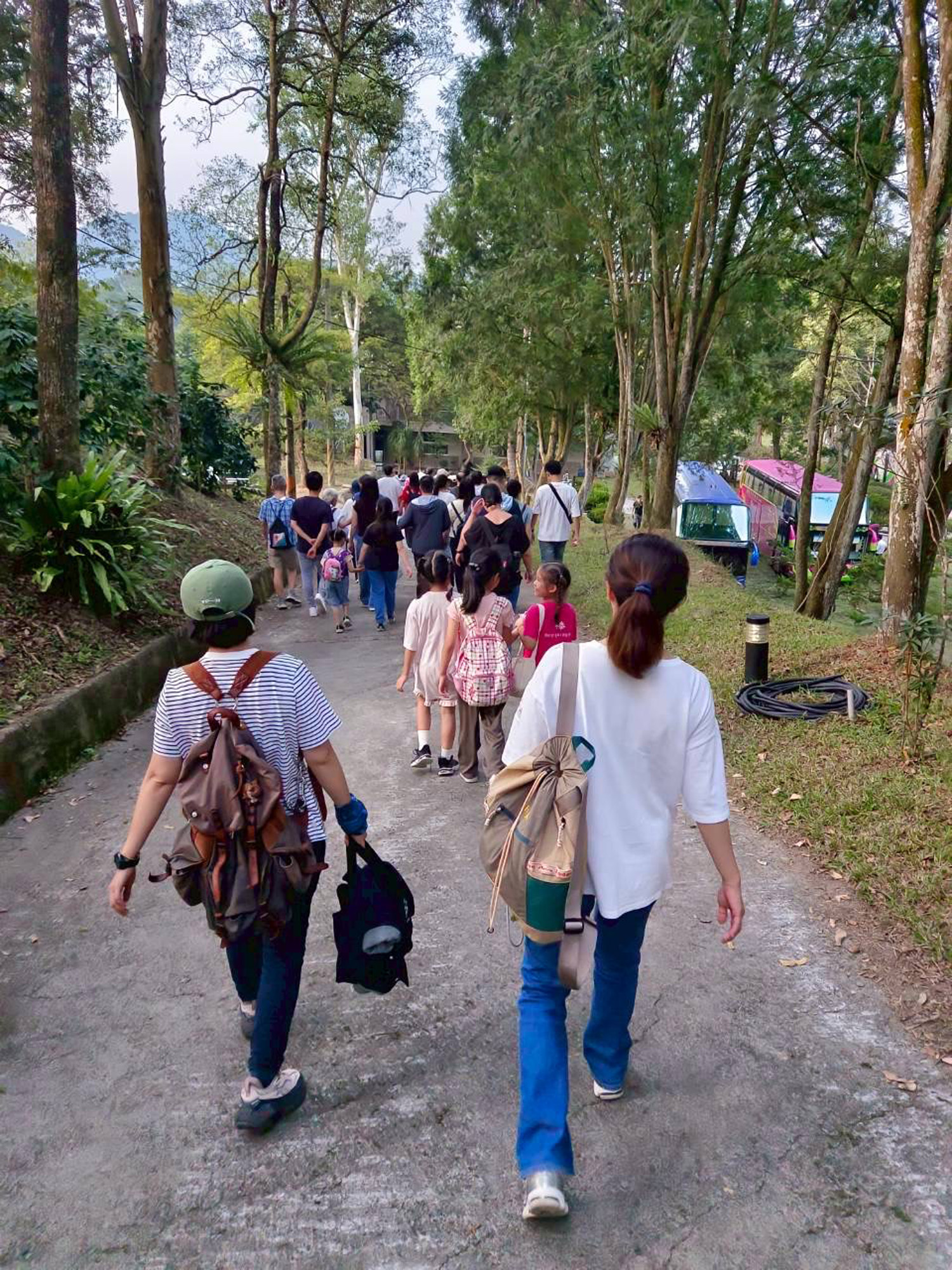 漫步山林導覽