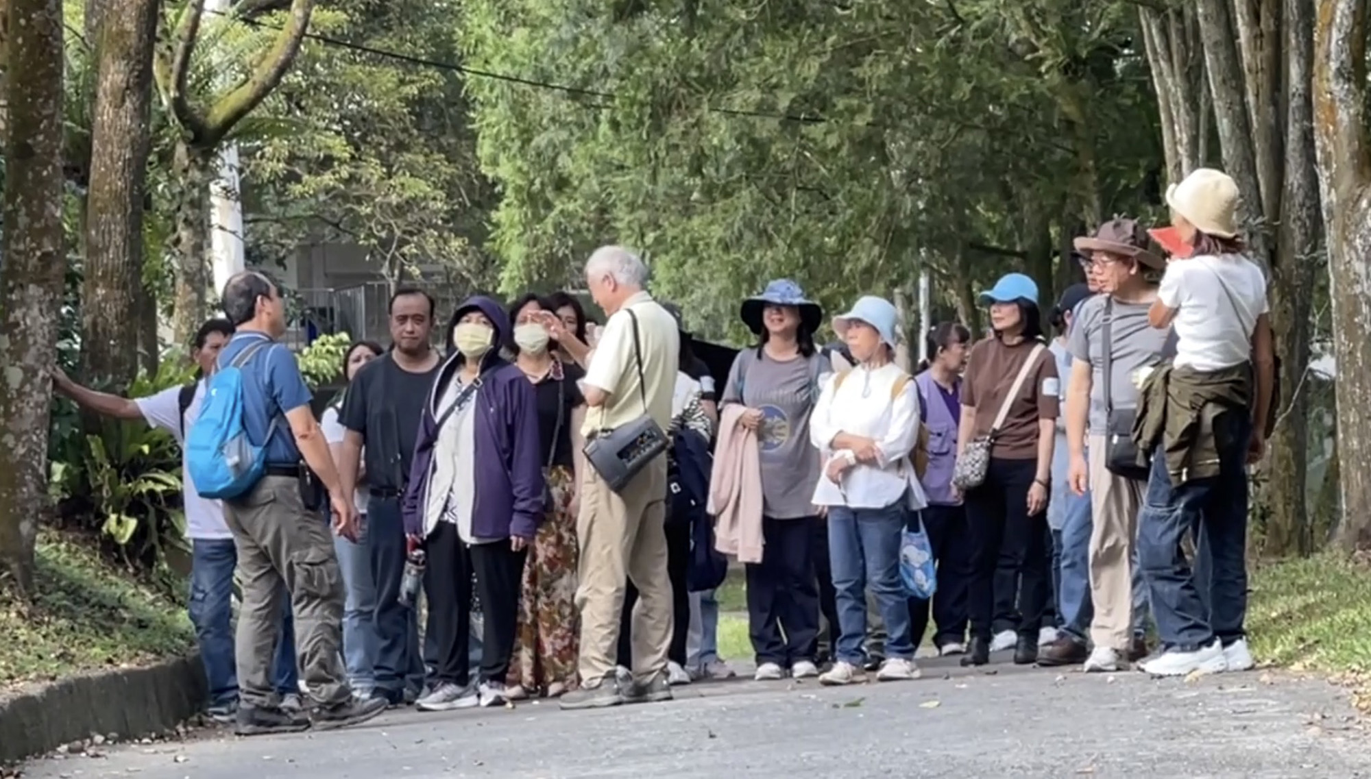 漫步山林導覽